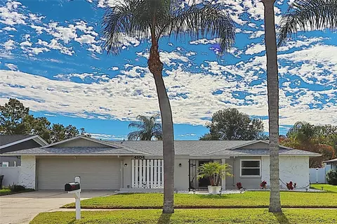 4104 Summerdale Dr, Tampa, FL 33624