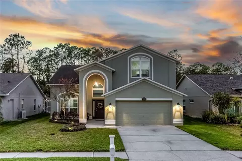 13101 Royal George Ave, Odessa, FL 33556