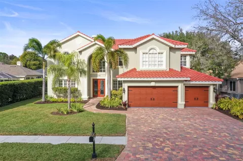 4165 Moreno Dr, Palm Harbor, FL 34685
