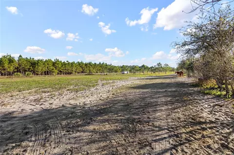 18121 Bethlehem Rd, Lithia, FL 33547 photo 10