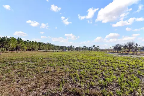 18121 Bethlehem Rd, Lithia, FL 33547 photo 11