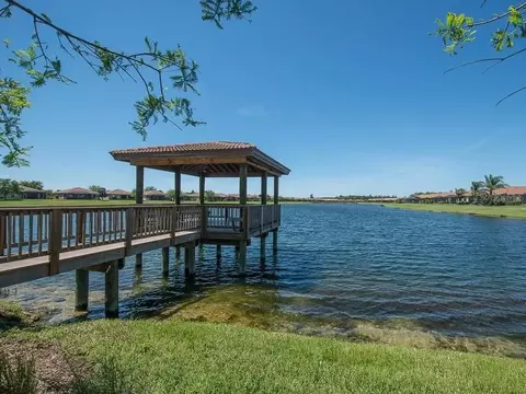 View/Area - 348 Cedar Falls Dr, Apollo Beach, FL 33572 photo 5 of 5