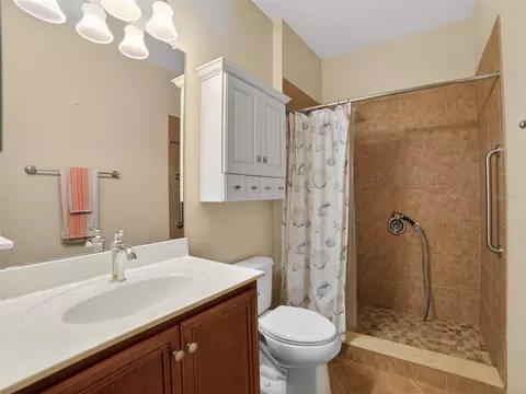 Bath - 348 Cedar Falls Dr, Apollo Beach, FL 33572 photo 3 of 3