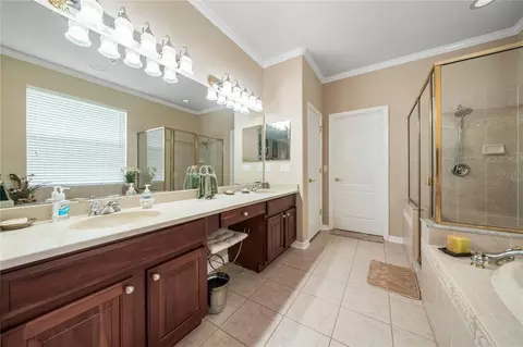 Bath - 11610 Grove Arcade Dr, Riverview, FL 33569 photo 4 of 5