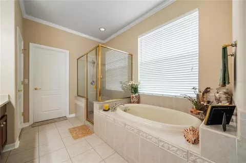 Bath - 11610 Grove Arcade Dr, Riverview, FL 33569 photo 5 of 5