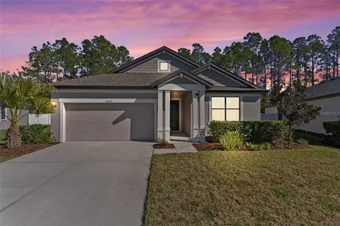 20009 Hidden Glen Dr, Land O Lakes, FL 34638