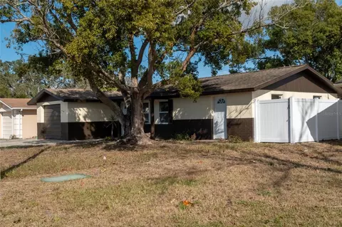 11234 Areca Dr, Port Richey, FL 34668