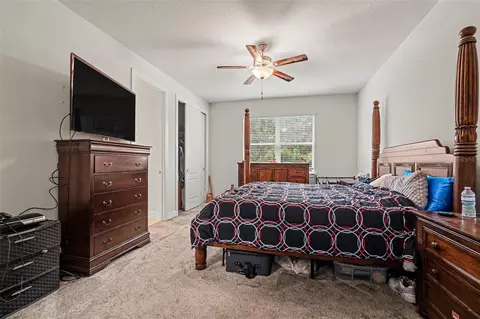 Bedroom - 12593 Palapa Loop, Spring Hill, FL 34610 photo 1 of 7