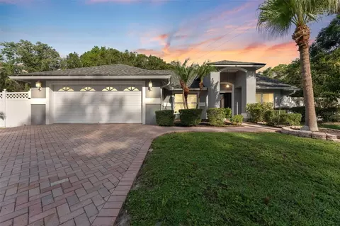 15123 Bald Eagle St, Tampa, FL 33625