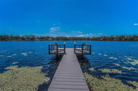 16019 Chastain Rd, Odessa, FL 33556