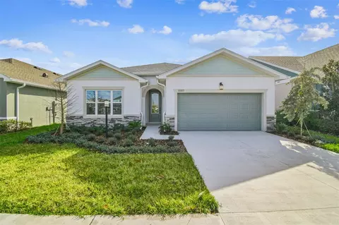 11317 Hardwood Hammock Ln, Riverview, FL 33569