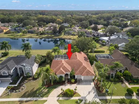 3830 Moreno Dr, Palm Harbor, FL 34685