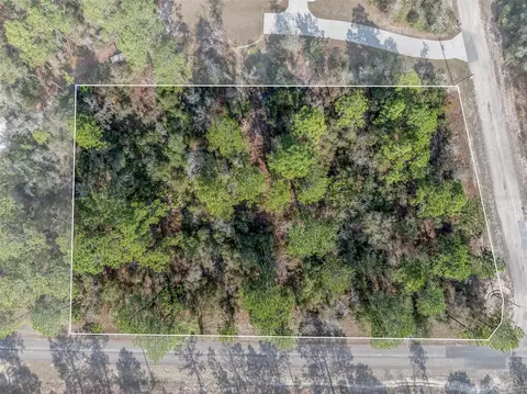 7082 N Treehaven Ter, Citrus Springs, FL 34433