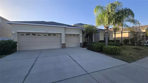 20114 Blue Daze Ave, Tampa, FL 33647