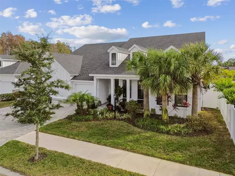 6207 Nikki Ln, Odessa, FL 33556