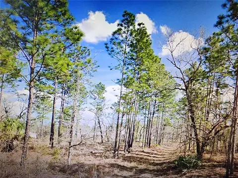 dusky sparrow road LOT 24, Weeki Wachee, FL 34614