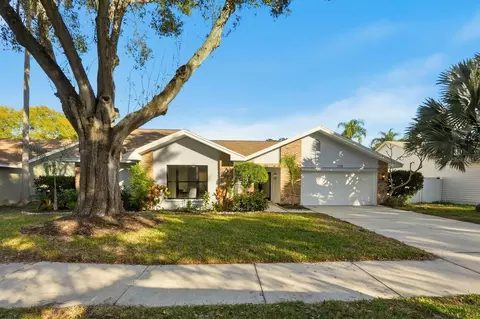 1110 Woodcrest Ave, Safety Harbor, FL 34695