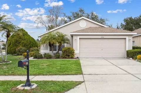 2946 Banyan Hill Ln, Land O Lakes, FL 34639