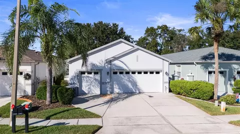 20907 Tangor Rd, Land O Lakes, FL 34637