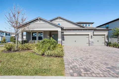 33091 Sycamore Leaf Dr, Wesley Chapel, FL 33545