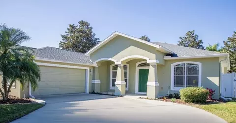 1616 Harvest Grove Ct, Valrico, FL 33596