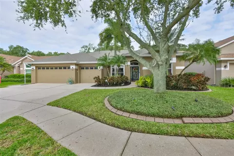7260 Bucks Ford Dr, Riverview, FL 33578