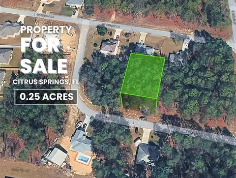 1217 W Fan Dr, Citrus Springs, FL 34434