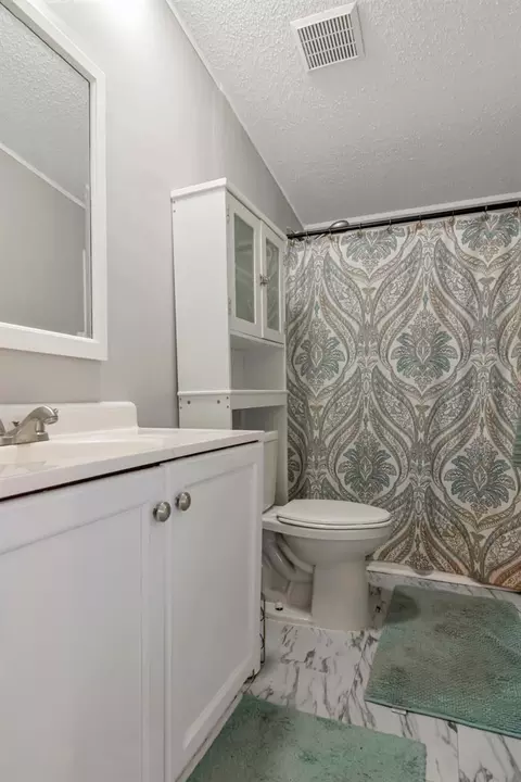 10404 Hawk Ct, Riverview, FL 33578 photo 27