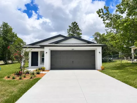 12143 Elston St, Spring Hill, FL 34609