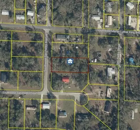 San Pedro Avenue, Mayo, FL 32066