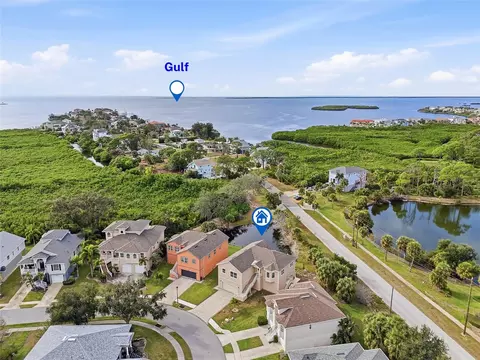 1083 S Pointe Alexis Dr, Tarpon Springs, FL 34689