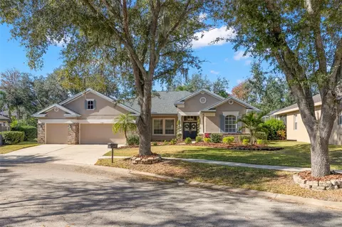 15321 Vireoglen Ln, Lithia, FL 33547