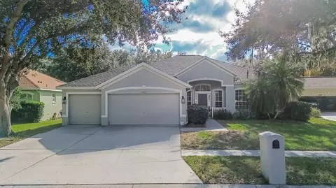 4423 Merrick Run Ln, Valrico, FL 33596