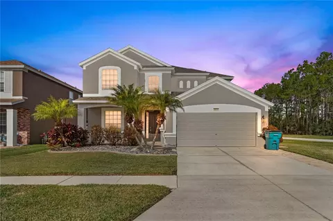 30419 Princess Bay Dr, Wesley Chapel, FL 33545