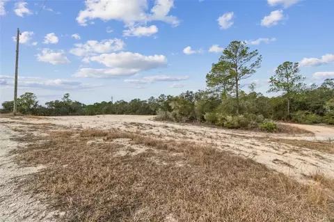 Hardstone Drive, Webster, FL 33597