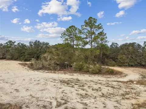 Hardstone Drive, Webster, FL 33597 photo 11