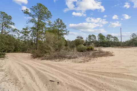 Hardstone Drive, Webster, FL 33597 photo 6