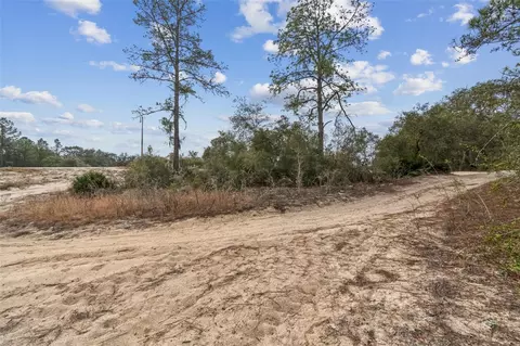 Hardstone Drive, Webster, FL 33597 photo 8