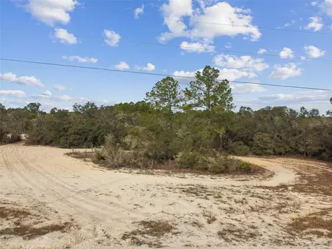 Hardstone Drive, Webster, FL 33597 photo 12