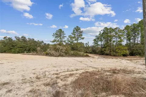 Hardstone Drive, Webster, FL 33597 photo 4