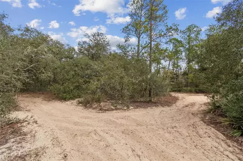 Hardstone Drive, Webster, FL 33597 photo 7