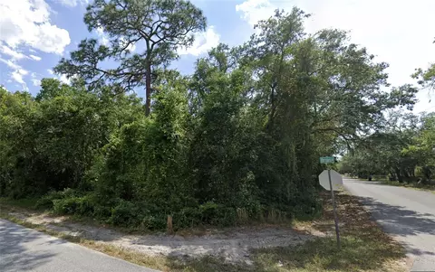 Bruin Dr, New Port Richey, FL 34654