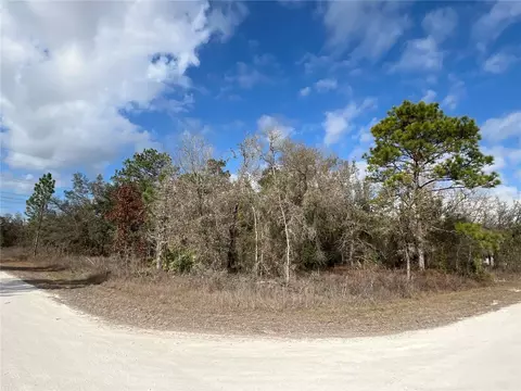16165 Courlan Rd, Brooksville, FL 34614