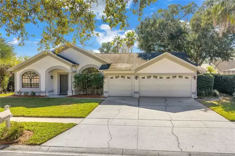 8436 Ridgebrook Cir, Odessa, FL 33556