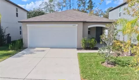 12727 Maple Bonsai Dr, Riverview, FL 33579 photo 1