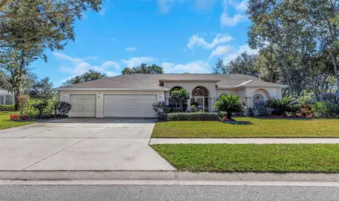1518 Fishing Lake Dr, Odessa, FL 33556
