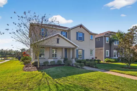 17268 Brighton Lake Rd, Land O Lakes, FL 34638