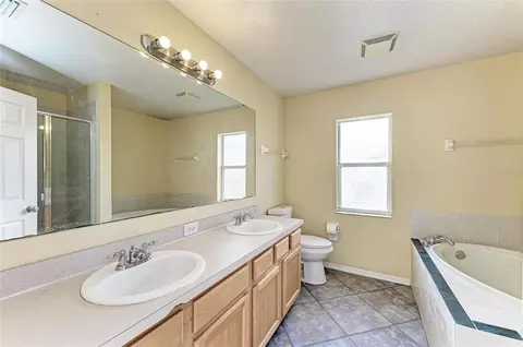 Bath - 11611 Summit Rock Ct, Parrish, FL 34219 photo 1 of 3