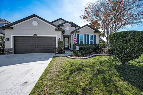 1437 Halapa Way, Trinity, FL 34655