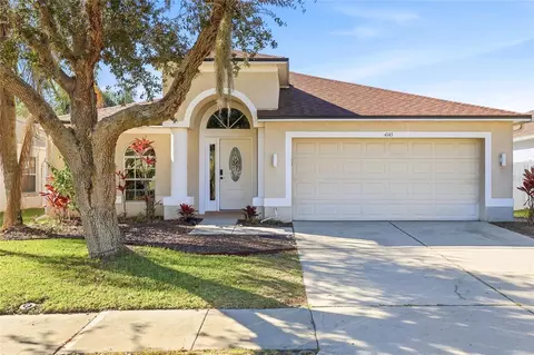 4145 Medbury Dr, Wesley Chapel, FL 33543